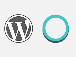 WordPress Plugins